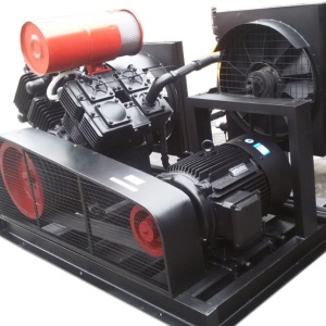 High Pressue CNG Gas N2 CO2 O2 Piston Reciprocating Air Booster Compressor