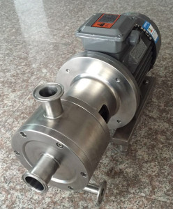 Sanitary Stainless Steel High Shear Homogenous Emulsifying Pump