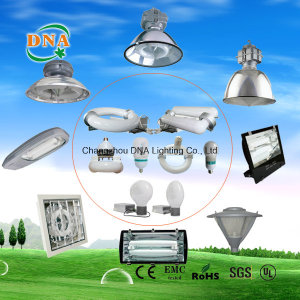 40W 50W 60W 80W 85W Induction Lamp Showroom Light