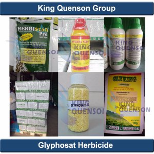 King Quenson Pesticide Weed Control Glyphosate Wholsale